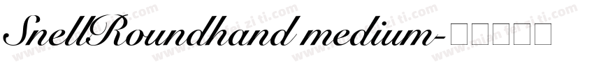 SnellRoundhand medium字体转换